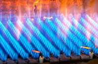 Rowfoot gas fired boilers